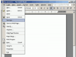 Brief Overview of Most Commonly Used File, Edit and View Menu Options in Microsoft Word 1