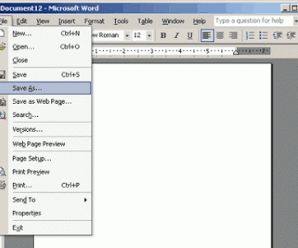 Brief Overview of Most Commonly Used File, Edit and View Menu Options in Microsoft Word 1