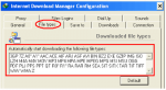 Internet Download Manager Version 6.06 is Available for Download 2
