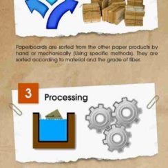Infographic to Better Understand the Recycling Process of Paperboard