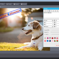 Photo Watermark Software and Video to Picture Converter Giveaway