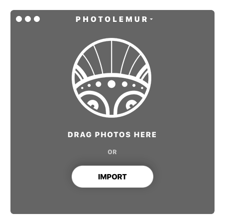 Photolemur Photo Enhancement Software Screenshot 1 First Window - Drag Photos Here or Import Photos