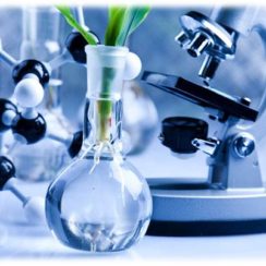 Biochemical Assignment Help Online Available at BookMyEssay.com