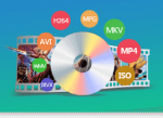 DVD Ripper - Rip any DVD to Digital