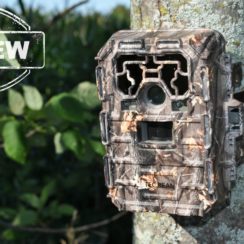 TEC.BEAN Trail Camera Best of Users Choice “Complete Information”