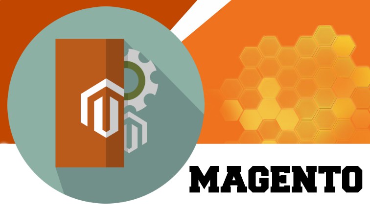 Magento e-commerce platform
