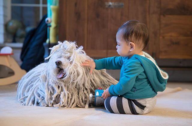 Max loves Beast. Her first word: dog.