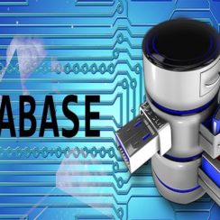 The Importance of SQL and Business Databases