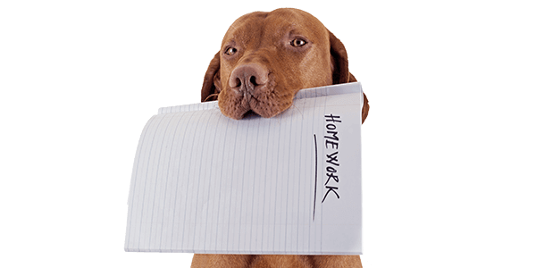 Reasons to Submit Non-Plagiarized Homework Assignments