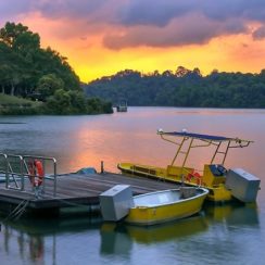 5 Amazing Places You Should Not Miss While Planning a Family Trip to Singapore 5 Amazing Places You Should Not Miss While Planning a Family Trip to Singapore