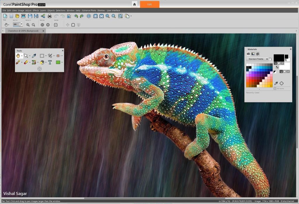 Why is Image Editing Essential for a Professional Photographer? 1