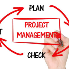 Project Management and Manageability