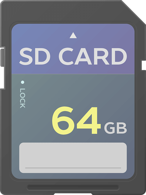 SD Card