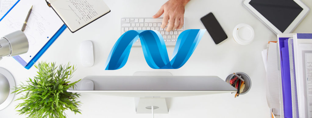 .Net Application Development