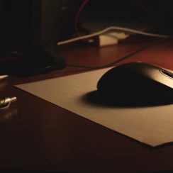 Mousepad or Mouse Pad