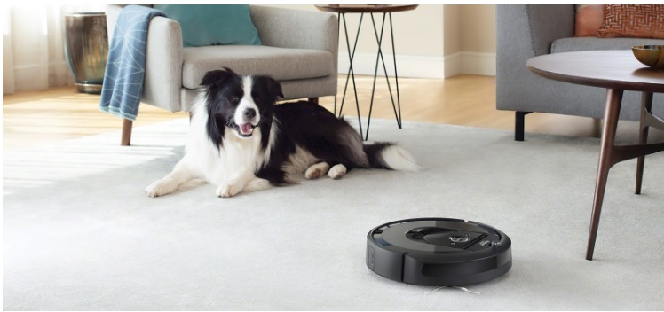 Roomba 980 Robot Vacuum Cleaner and Border Collie. Best Robot Vacuum 2019, Best Robot Vacuum for Carpet, Best Robot Vacuum for Pet Hair.