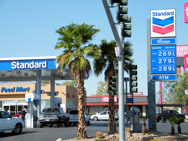 Road Trip to the USA: What Each Traveler Should Know? 2