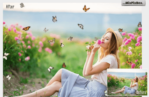 Butterfly Clipart