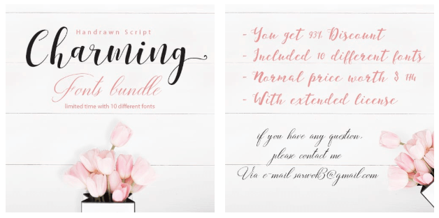 Hand Drawn Font Script Charming Fonts Bundle.
