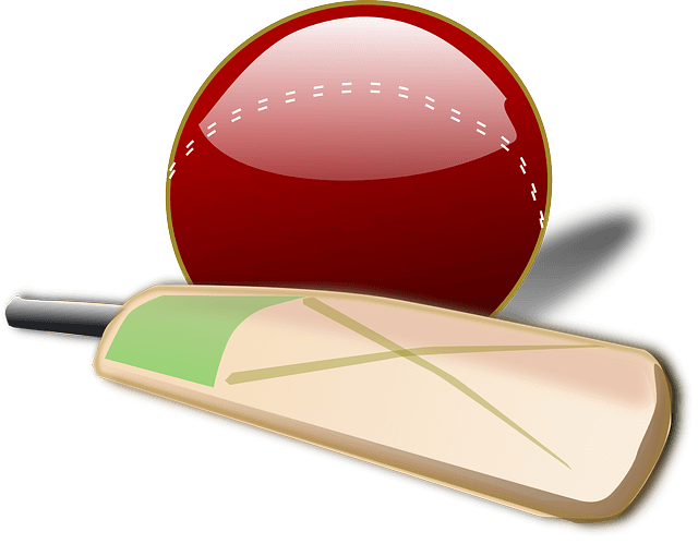 Cricket Ball and Bat