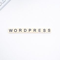 Top 10 WordPress Themes for Your Online Business