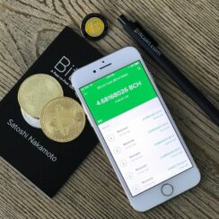 How You Can Develop A Bitcoin Wallet App In 5 Easy Steps