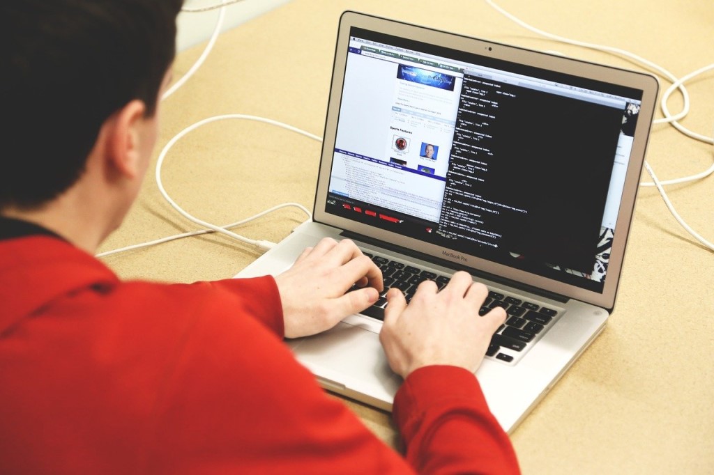 Programming, coding, hacker, cybersecurity expert.