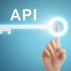 Ultimate Guide to Mobile API Security