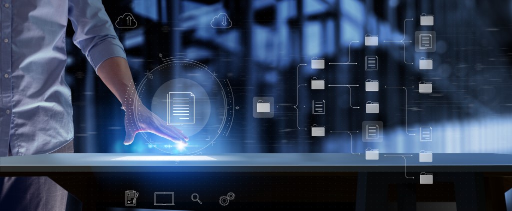 Document Management System and Cloud Storage Setup by IT Consultant