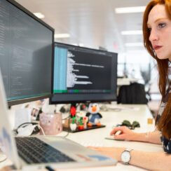 The Secure Software Development Lifecycle Defined The Secure Software Development Lifecycle Defined