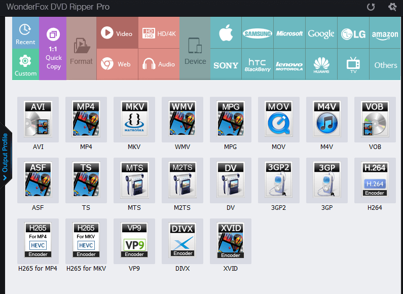 WonderFox DVD Ripper Pro output formats