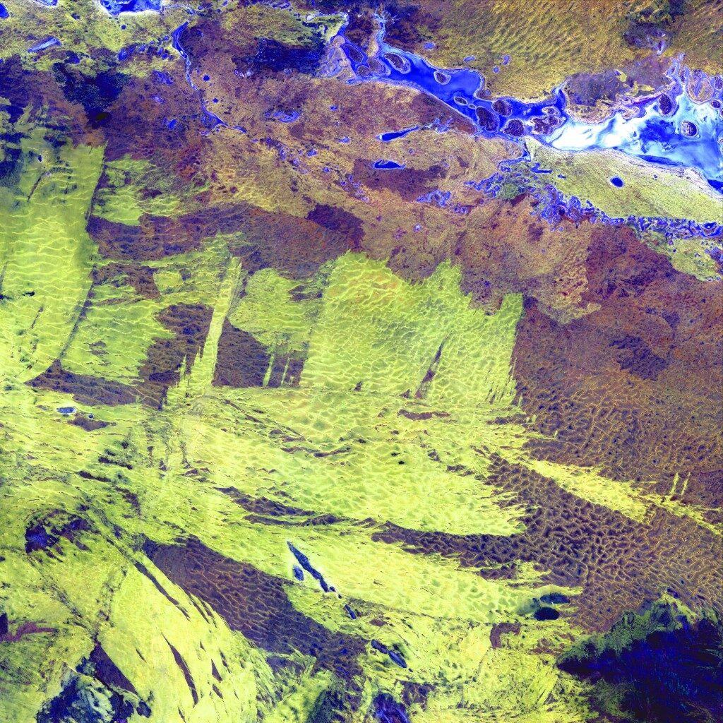 Arid Landscape Near Lake Amadeus, Landsat Satellite Image  