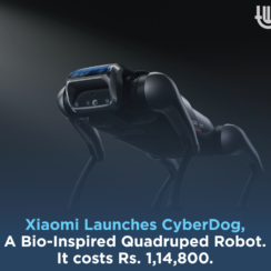All You Need to Know About Cyber Dog by Xiaomi