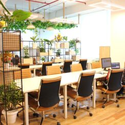 Post-COVID Predictions: Are Coworking Spaces on the Verge of Bouncing Back?