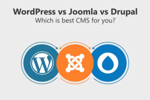 WordPress vs Drupal vs Joomla: Best CMS for Core Web Vital