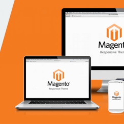 Why Custom Magento Platform is the Next Step for Your Business?
