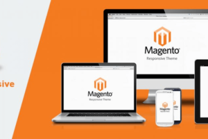 Why Custom Magento Platform is the Next Step for Your Business?