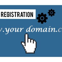 A Brief Guide to Domain Names Ideal for Small Businesses