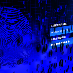 Why is Good Password Hygiene Essential for Your Cybersecurity?