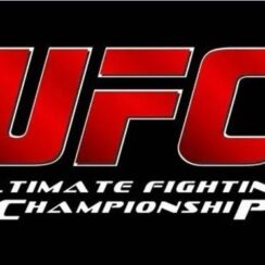 UFC Fighting Categories on Betting Sites