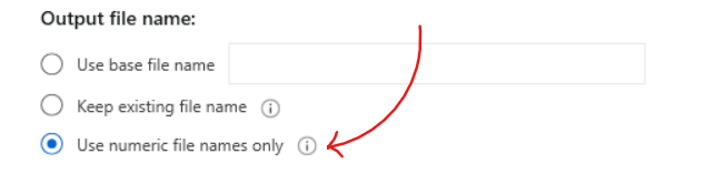 Output PDF file name: Use numeric file names only.