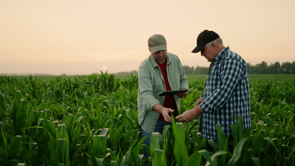 How Can Technology Positively Impact Agricultural Businesses in 2026