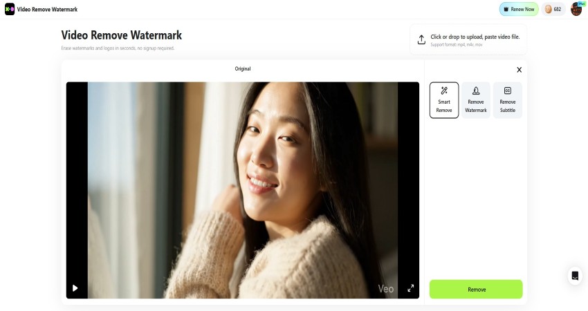 Video Logo or Text Smart Remove.