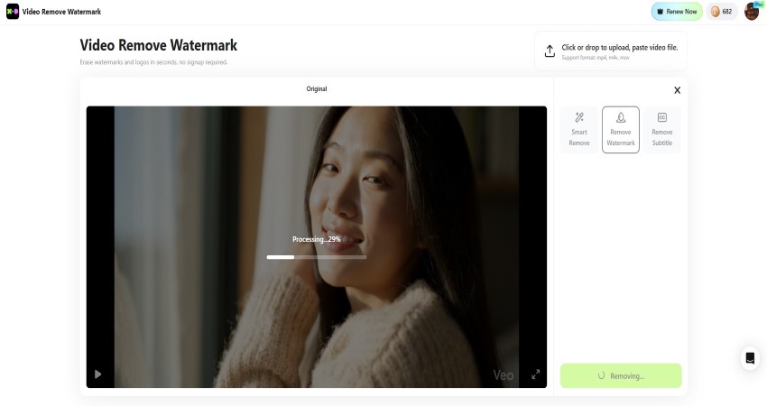 X-Design Video Remove Watermark AI Process.