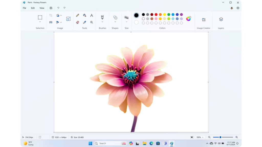 Microsoft Paint
